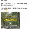 中国の森の中で大量の新車を発見。国の補助金を騙し取る目的か