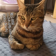 薬を飲み忘れた時どうする？と、ピンクのリング作りました。