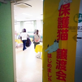 昨日は秘密結社ねこのひげ譲渡会♪