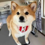ぱっぽとにゃんの仲良しブログ♡♡♡