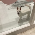 真っ白な
