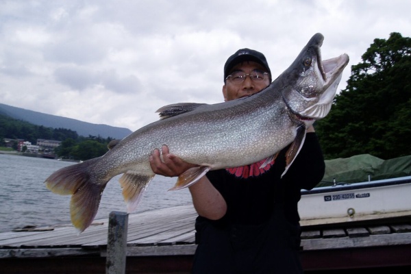ORA Minnow Serendipity