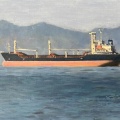 瀬戸内海で