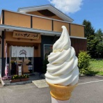 デイリーオーダテ