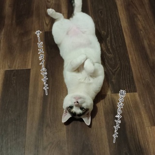 moroのハンドメイド