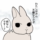 第44話　みんちゃんと保護うさ