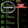 消費カロリーが減っていく＋身体は動く＋BACC気になる