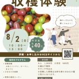 『🍅いわき農園　夏野菜の収穫体験🥒』の画像