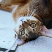 ヴィヴィアンの1歳頃の未公開写真