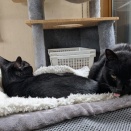 みんなが好きな場所　ほんとはみんな独り占めしたいけど......