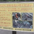 御殿場の美味しいハンバーグと丹沢湖で砂金掘り