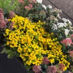 神崎みどり  OFFICIAL  BLOG