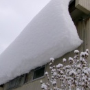 衆院選投票日＆豪雪被害発生