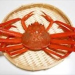 常識覆す奇妙なカニの化石を発見！カニ界に激震ｗｗｗ