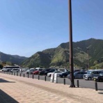 コガネムシのつぶやき