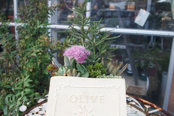 平田ナーセリー福岡東店forest 新宮町