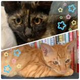 『みんなの支えで、すくすく成長中🐾《ご支援ありがとうございます》』の画像
