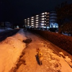 柴わんこと暮らす日々