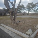 『続・エントリー再び!!』の画像