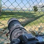 Tedious diary more x4