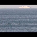 ５月５日（火）平舘・外ヶ浜