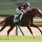 ☆うまなみ・競馬にゅーす速報 - 2歳新馬