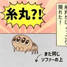 帰ってきた糸丸