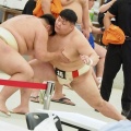 全国選抜大学・社会人対抗相撲和歌山大会結果報告