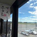 出張から戻りました