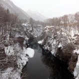 『春らしくなってきましたが』の画像