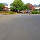 ゲリラ的に車道を通りました