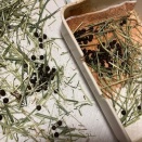 ウォンちゃん＆ウォンちゃん＆…