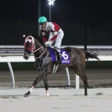 『【遠征馬情報】園田プリンセスカップに、ホッカイドウ競馬から4頭が参戦！』の画像