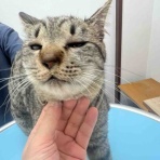 風の動物病院のブログ