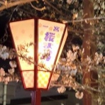 女装サロン運営奮闘記　Ⅱ