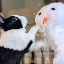 楽しみ方はそれぞれ