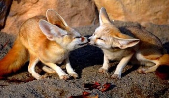 イチャついてる画像貼るwwwwww