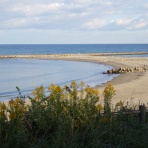 シーバス電脳日誌 ロードバイクでサイクリングも