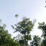 ペットショップふじやのブログ