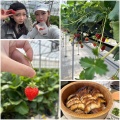 ５/１３🍓