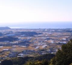 １１月後半三連休の香南市　　