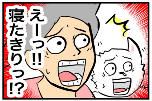 ちーちゃんっ🐾 - ウエスティ