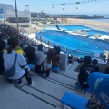 須磨シーワールド🐬&今日の様子