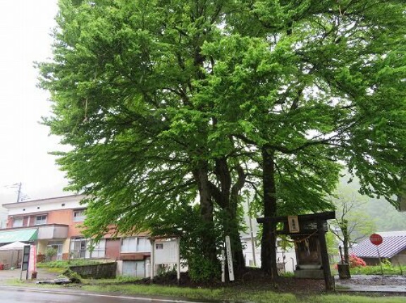塞ノ神堂 （塞神の桂・中里のカンデッコあげ）