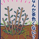 【初心者の庭づくり日記:4】紫陽花の茎が茶色い？これが「木質化」？