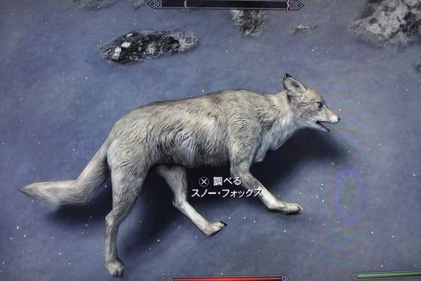 The Elder Scrolls Iv V Skyrim 攻略 人物紹介 動物