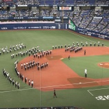 『プロと高校の「応援団」の差異』の画像