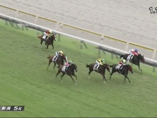 【競馬】新潟5R新馬戦グランアレグリアの初子　グランマエストロは単勝1.7倍の断然人気も8着
