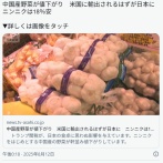 中国産野菜が値下がり　米国に輸出されるはずが日本に　ニンニクは18％安