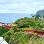 紀子の部屋・New